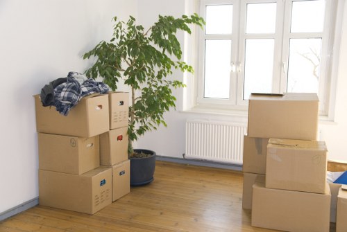 Organized shelving and household storage in Hampstead